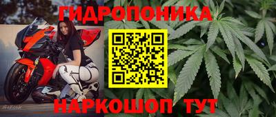 гашиш Тосно