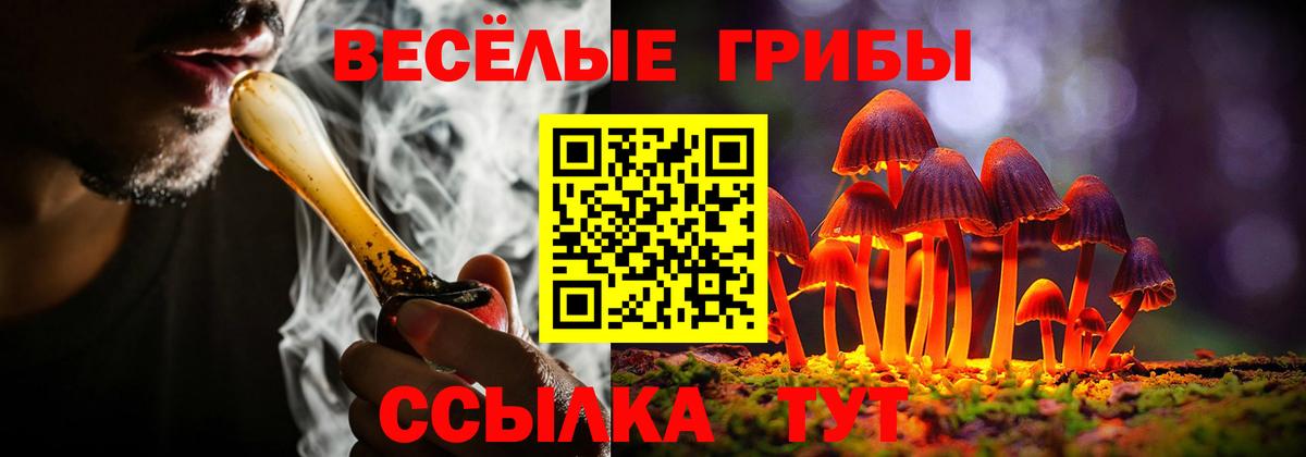 Псилоцибиновые грибы Psilocybe  Галлюциногенные грибы мухоморы  Дедовск  Вход с VPN 