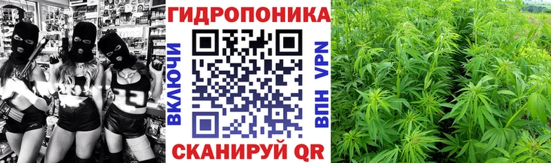 Конопля планчик  mega рабочий сайт  Дедовск 